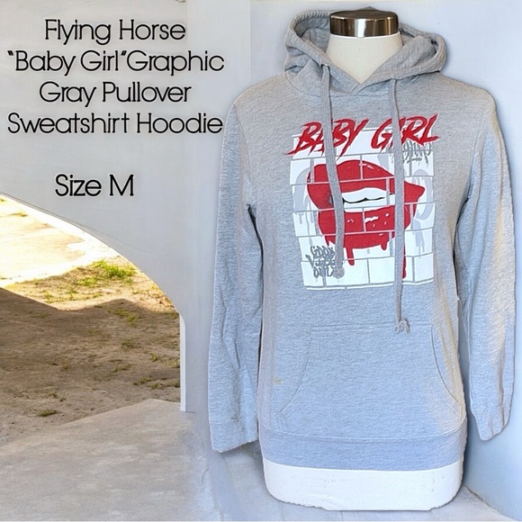 Flying Horse Baby Girl Gray Pullover Sweatshirt Hoodie - Picture 15 of 15